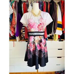 Ted Baker Floral Fit and Flare Dress Womens 4 Pink White Good Short Sleeve Mini